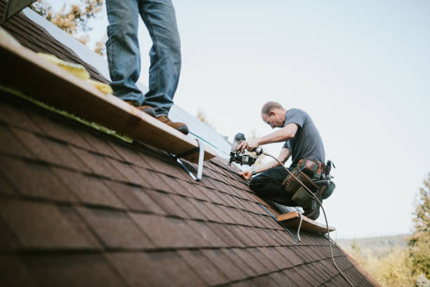 Roof Insulation